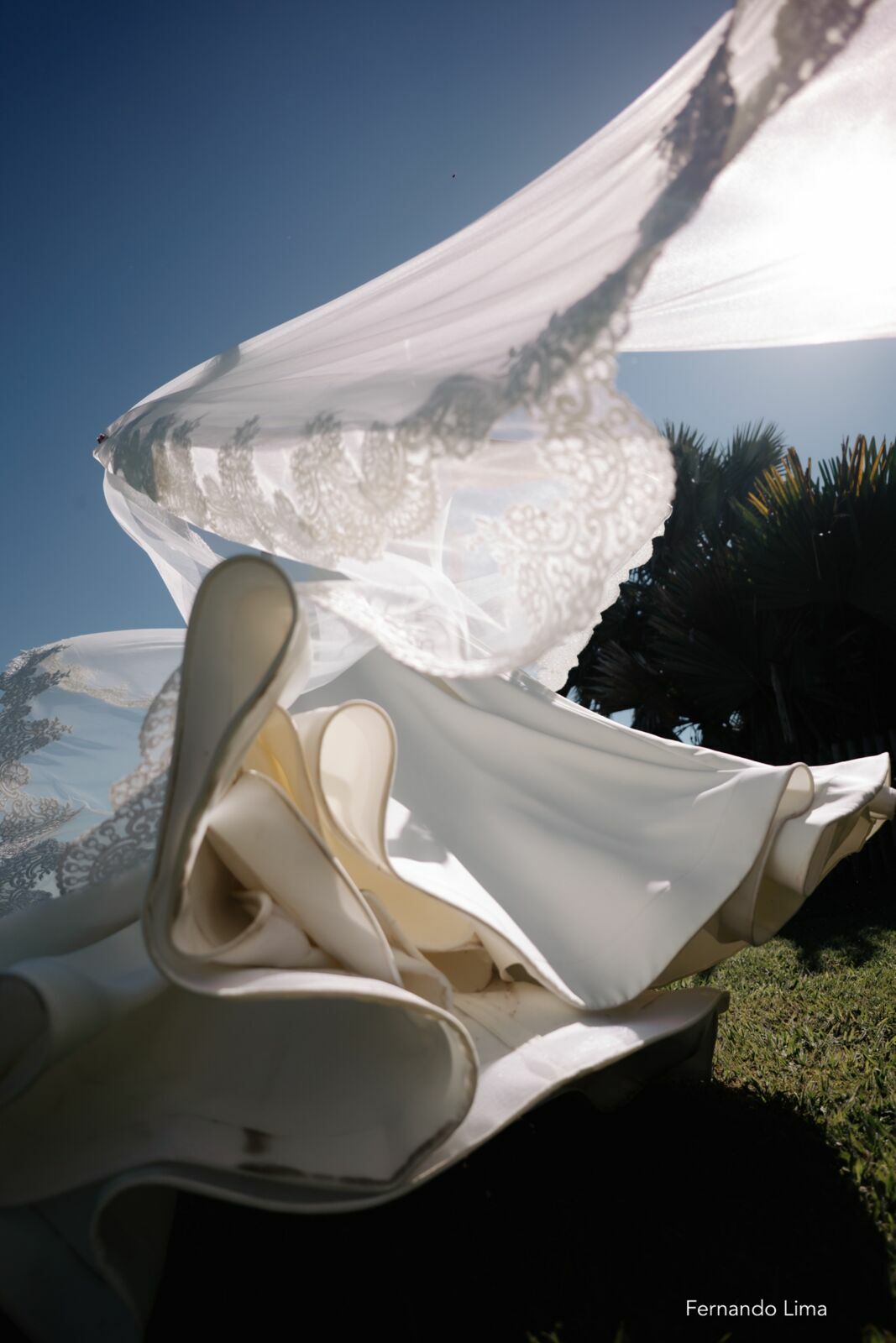 Foto Casamento de Letícia e João Pedro na Quinta do Sardão Foto Casamento de Letícia e João Pedro na Quinta do Sardão - Imagem 18