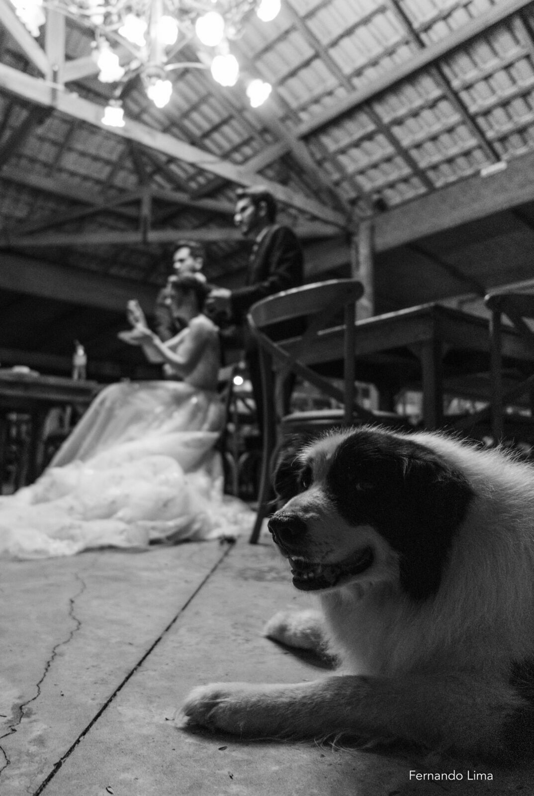Foto Isabelle & Juliano | Um casamento inesquecível na Quinta do Sardão - Imagem 27
